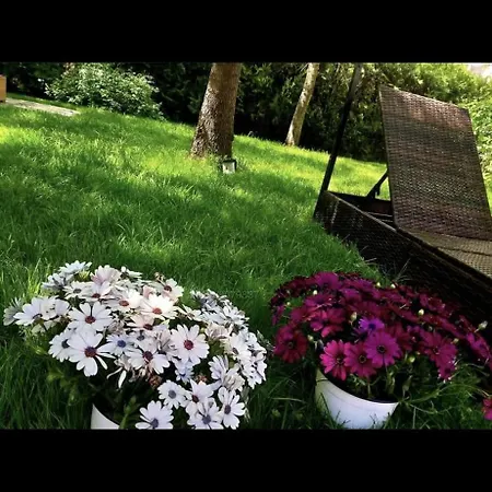 2 Bedrooms Anita A29 סאני ביץ'