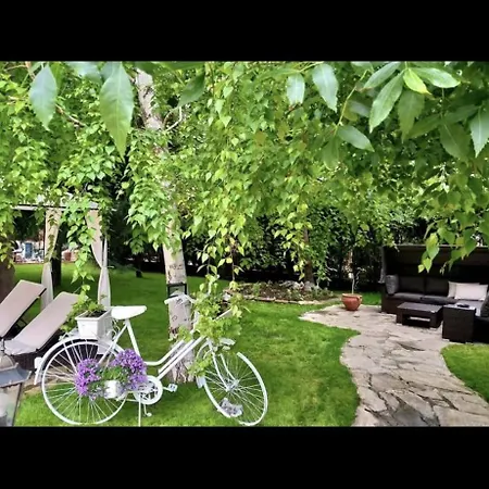 Apartment 2 Bedrooms Anita A29